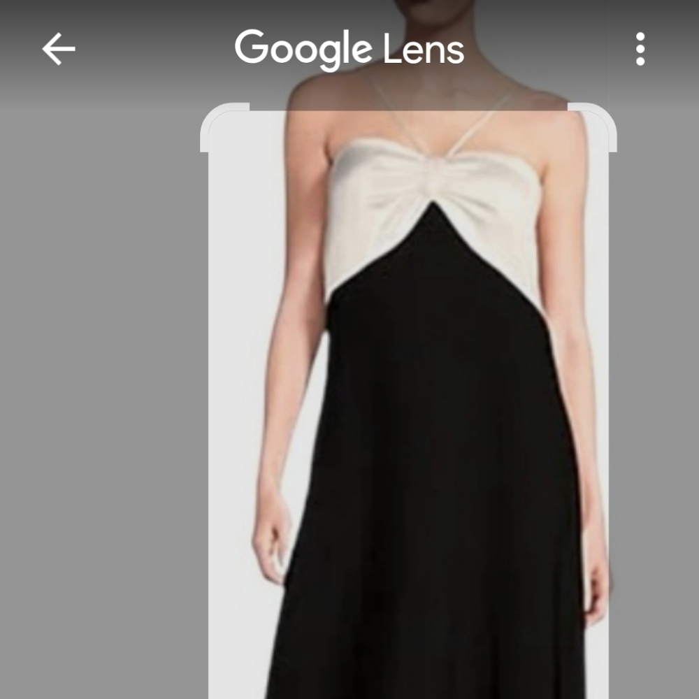Alex Marie Black Dress. Fur Is Not Included